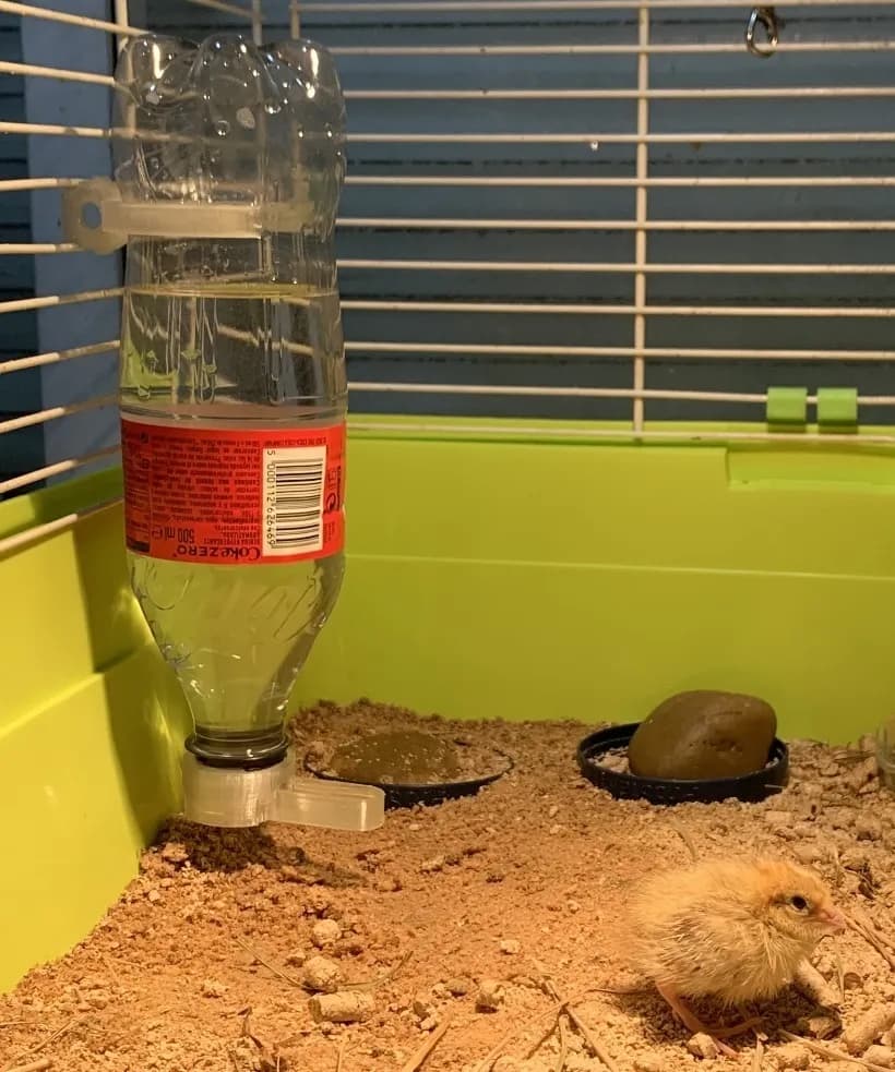 Pet Water Dispenser Cap