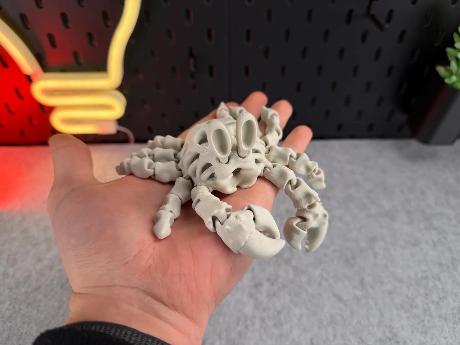 Articulated Skeleton Crab - Image 5