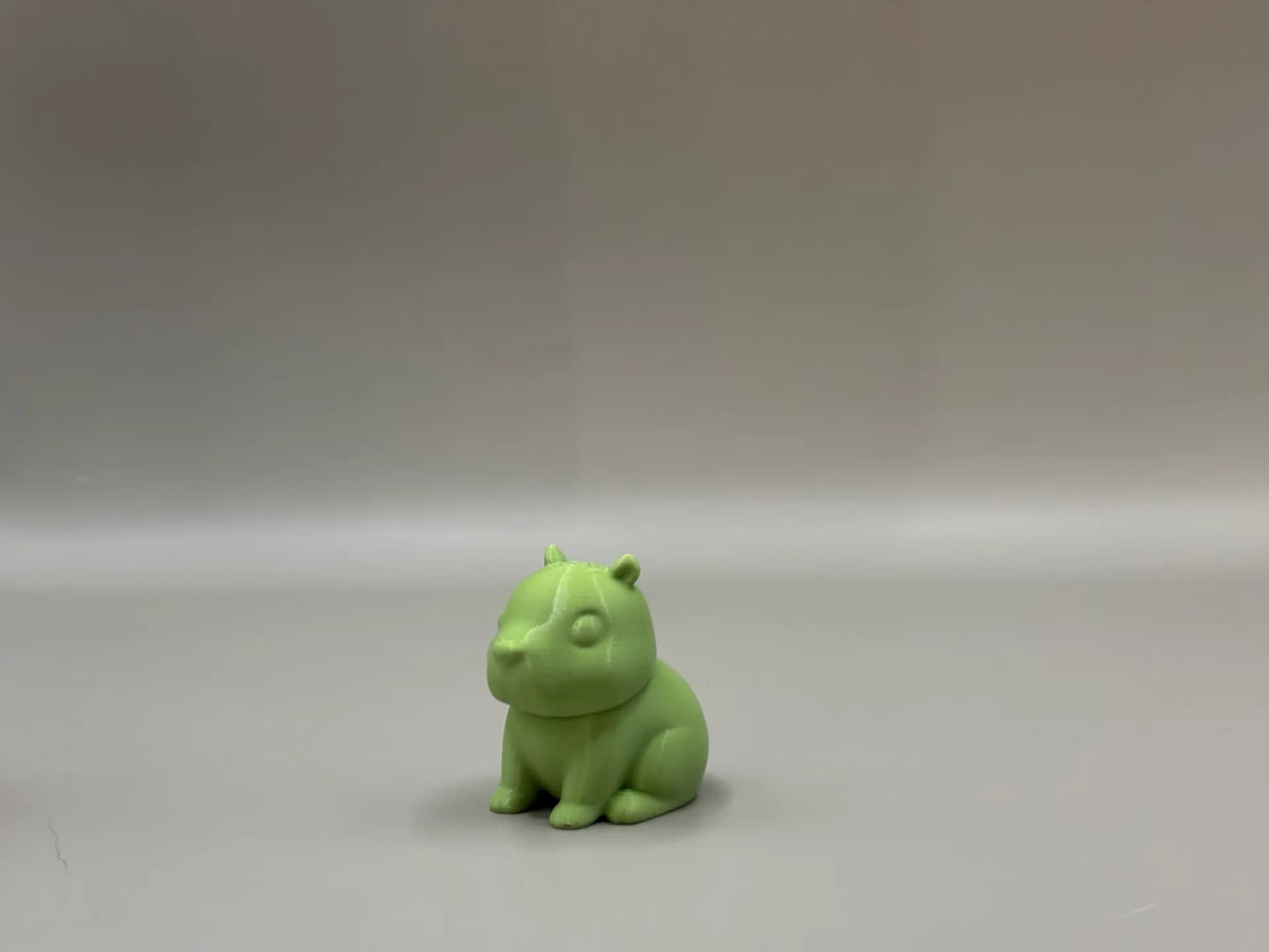 Mini Capybara - Image 2