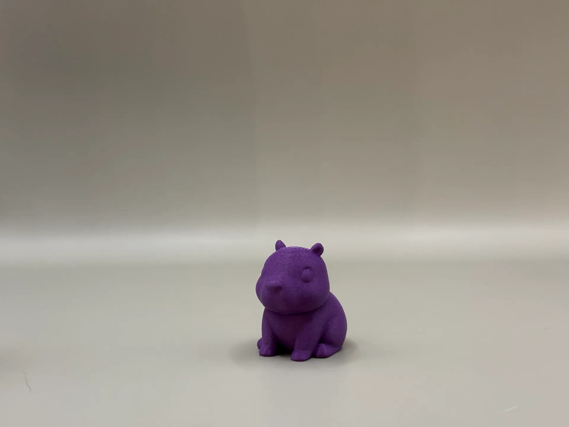 Mini Capybara - Image 3