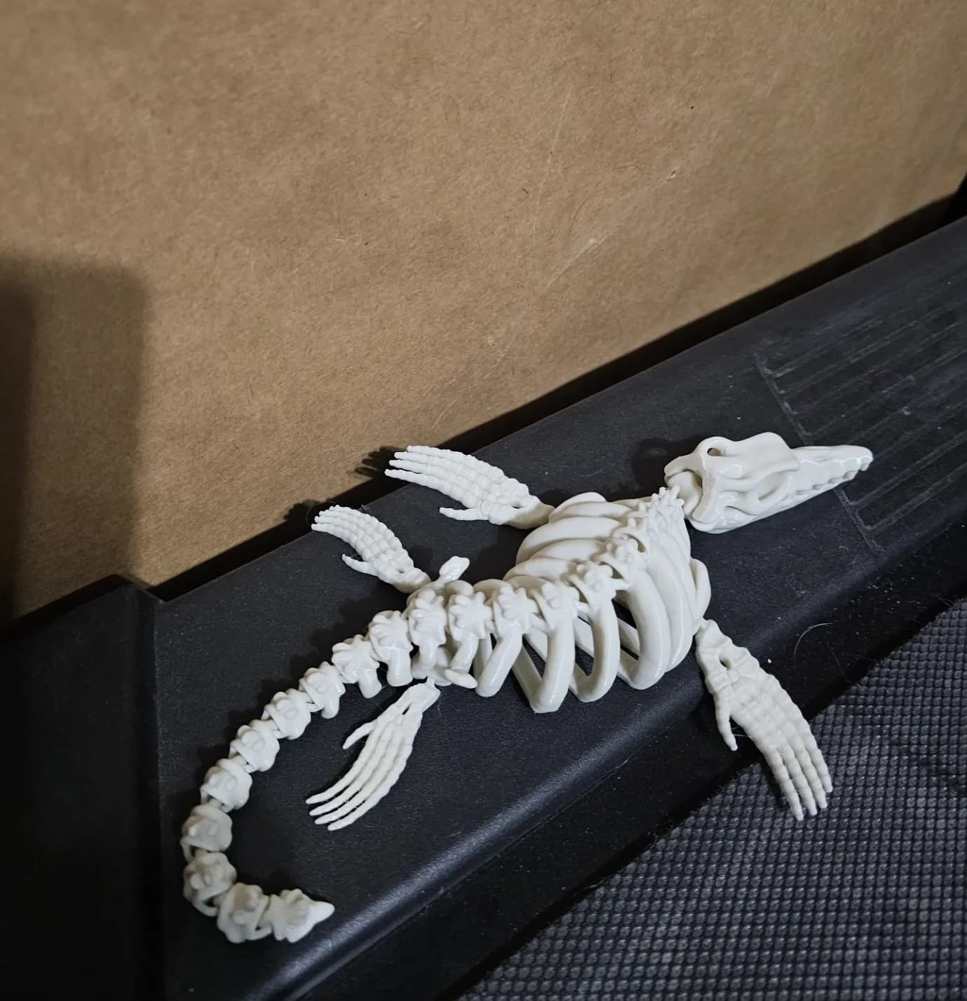 Articulated Mosasaurus Skeleton - Image 3