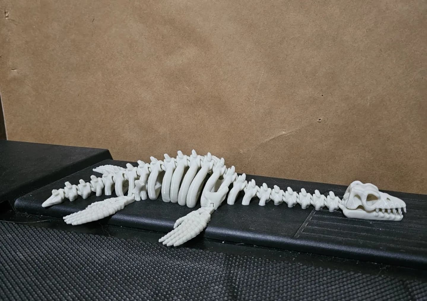 Articulated Plesiosaurus Skeleton - Image 1