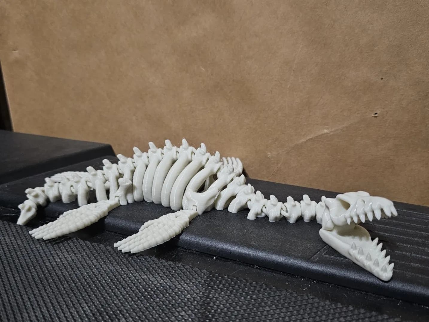 Articulated Plesiosaurus Skeleton - Image 2