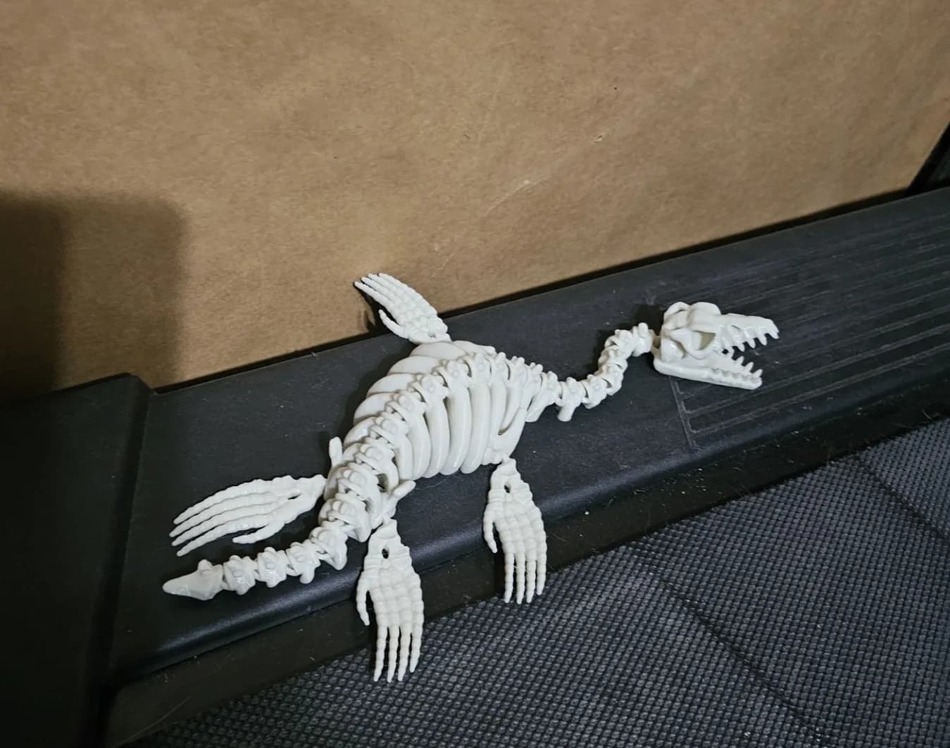 Articulated Plesiosaurus Skeleton - Image 3