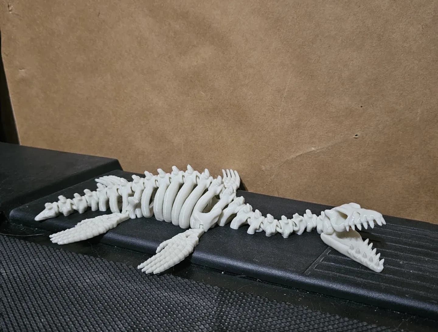 Articulated Plesiosaurus Skeleton - Image 4