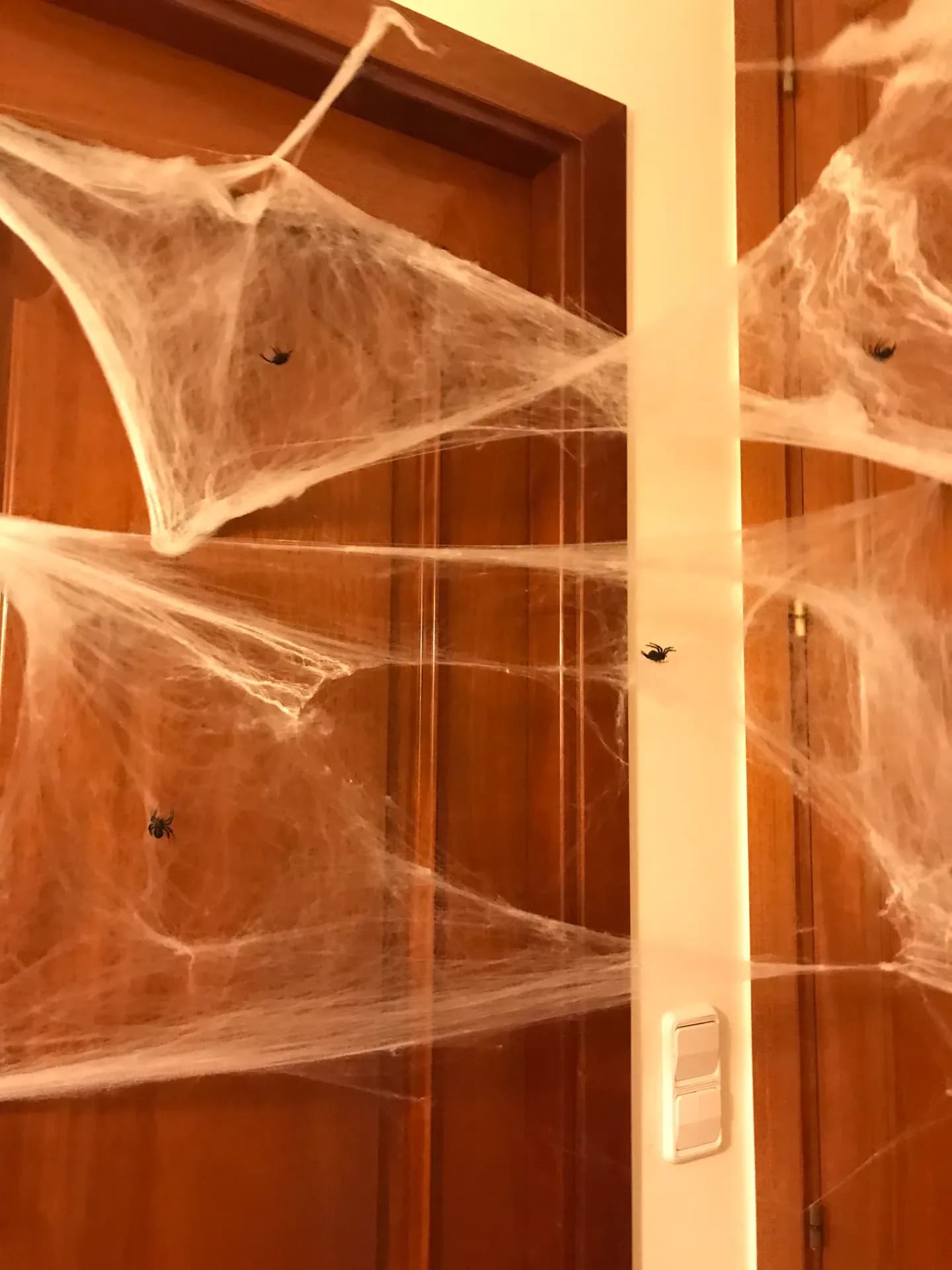 Araña doméstica para Halloween - Image 4