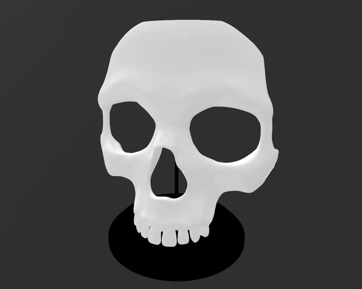 Skull with Base - Image 2