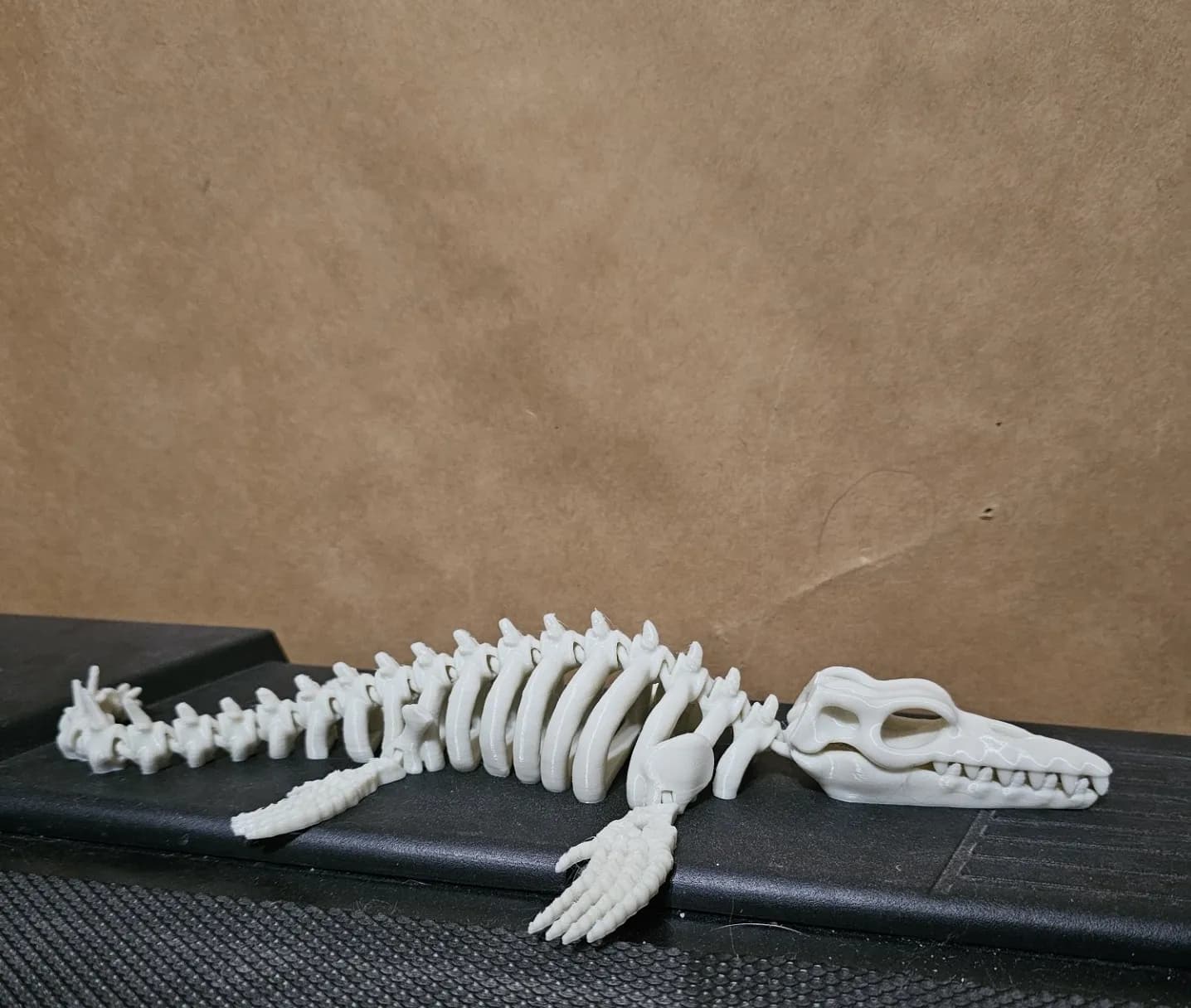 Articulated Mosasaurus Skeleton - Image 1