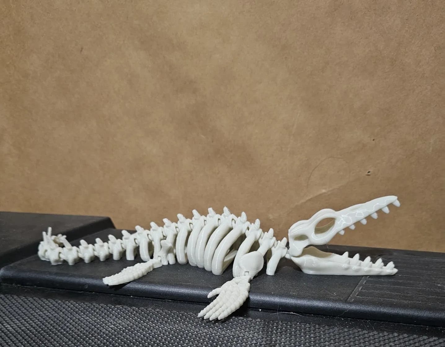Articulated Mosasaurus Skeleton - Image 2